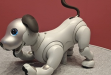 索尼的AI增强Aibo机器狗进入美国