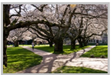 威斯康星大学在西海岸风景最好的大学中排名第一