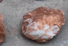 江西工地挖出6600万年前恐龙蛋化石你觉得他像什么呢
