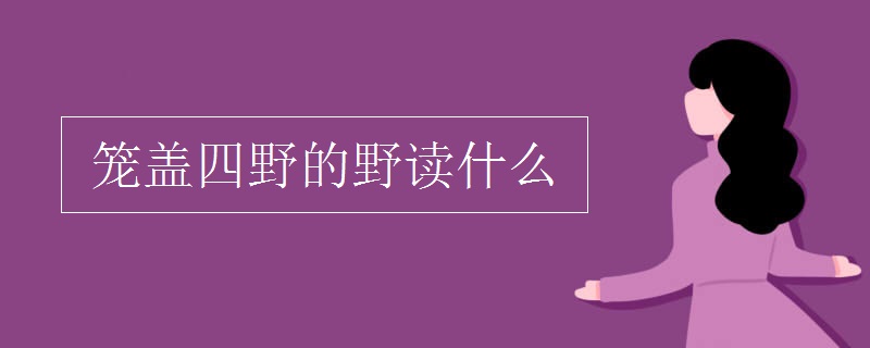 笼盖四野的野读什么