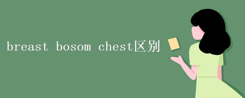 breast bosom chest区别