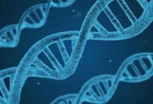 科学家发现RNA片段可以写回DNA