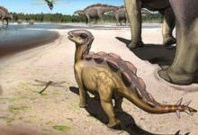 古生物学家发现一只猫大小的恐龙留下的脚印