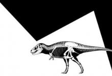 恐龙统计研究始于霸王龙每平方英里