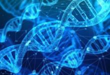 研究人员表明可以从空气中收集动物DNA