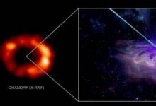 科学家可能发现了潜伏在著名超新星内部的中子星