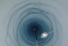 南极冰层下半英里科学家无法解释的奇怪新生命