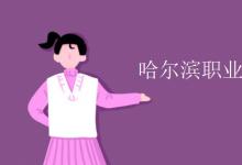 教育资讯：哈尔滨职业技术学院是几本