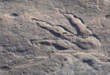 四岁威尔士女孩在海滩发现恐龙足迹