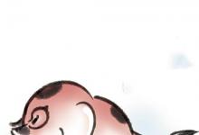 日常生活：属牛忌讳几月出生