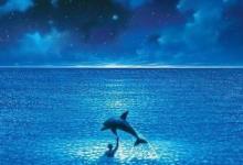 日常生活：备注blue是什么意思