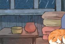 日常生活：我与狸奴不出门是啥意思