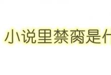 日常生活：小说里禁脔什么意思