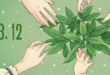 日常生活：50字左右的植树节由来是什么