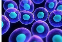 科学防老有妙招，未恩NMN或是有效方法