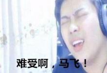 日常生活：马飞什么梗