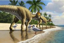 非洲首次发现鸭嘴恐龙化石