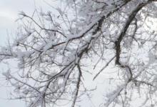 日常生活：阳春白雪和下里巴人是什么意思