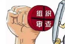 日常生活：政审直系亲属包括哪些人