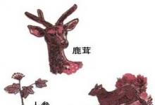 日常生活：东北三宝是指哪三宝
