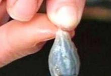 日常生活：鱼胆的主要危害是什么
