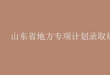 教育资讯：山东省地方专项计划录取规则
