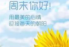 日常生活：周末是指哪一天