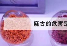 日常生活：麻古的危害是什么