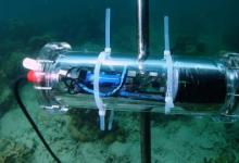 英特尔和其他公司使用人工智能驱动的解决方案来监测珊瑚礁的复原力
