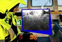 Tidalby谷歌X同时观察数百张鱼脸