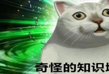 日常生活：奇怪的知识增加了是什么梗