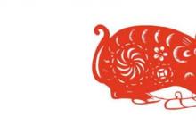 日常生活：庚子年为什么老有灾