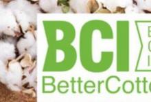 日常生活：bci组织是什么意思