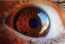 人工视网膜的一个主要障碍已经解决
