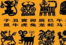 日常生活：属相是按阴历还是阳历