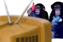 人体试验让黑猩猩一起看电视黑猩猩成为朋友