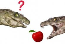 素食鳄鱼祖先给研究人员一个惊喜