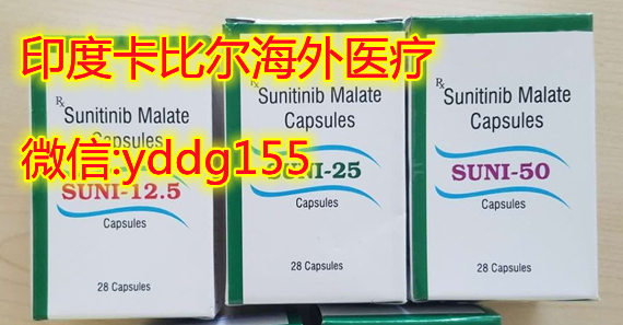 印度索坦_副本.jpg