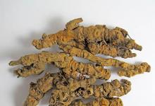小动物简笔画老虎