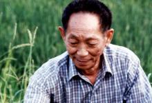 日常生活：袁隆平是哪里人