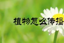 日常生活：植物怎么传播种子的