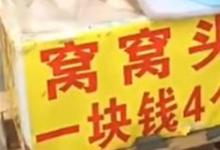 日常生活：窝窝头一块钱四个什么梗