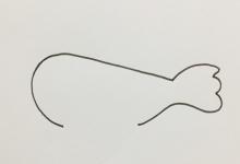 鸟的简笔画色带步骤