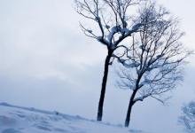 日常生活：阳春白雪和下里巴人最初指的是什么