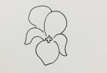 如何画紫罗兰简单又漂亮