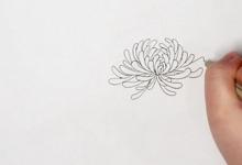 菊花简笔画步图