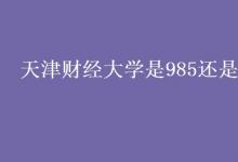 教育资讯：天津财经大学是985还是211