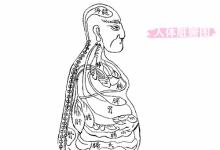 晚期肿瘤怎么治？南京太乙堂戴春海：正确补泄是关键