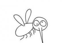 蚊子怎么画简笔画？