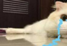 日常生活：猛男落泪是什么梗
